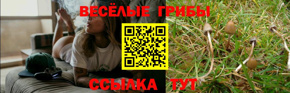 Галлюциногенные грибы Cubensis Семилуки